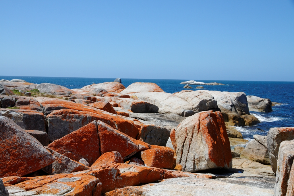 05 - Bay of Fire (13).jpg